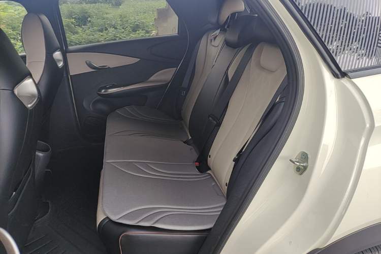 Used BYD Dolphin 2025 420km Free Edition Left Rear Seat