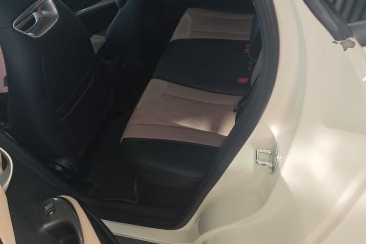 Used BYD Dolphin 2025 420km Active Version Left Rear Seat