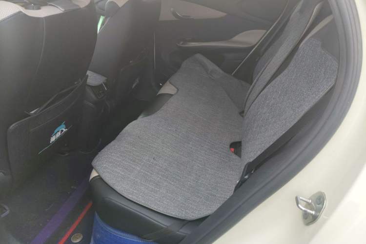 Used BYD Dolphin 2025 Smart Drive Version 420 km Freedom Edition Left Rear Seat