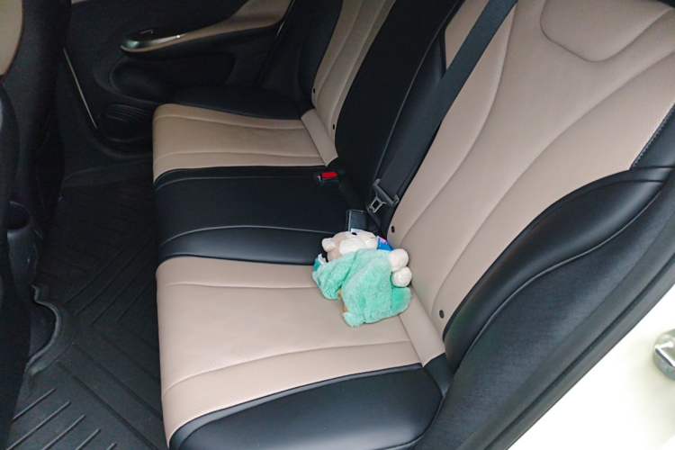 Used BYD Dolphin 2025 420km Free Edition Left Rear Seat