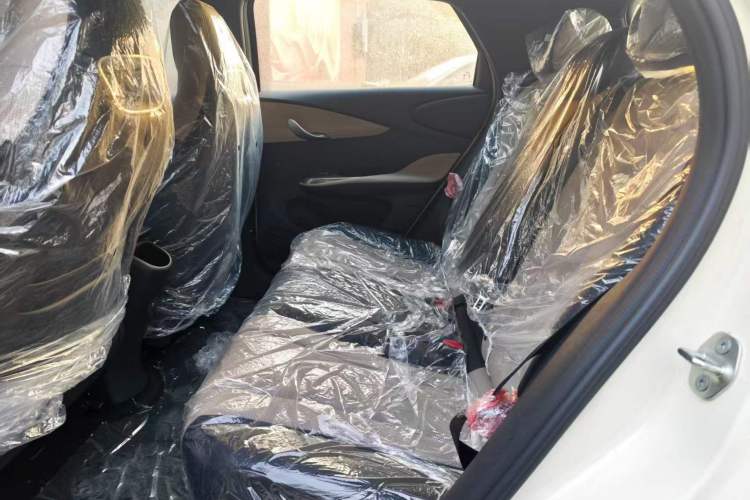 Used BYD Dolphin 2025 420km Free Edition Left Rear Seat