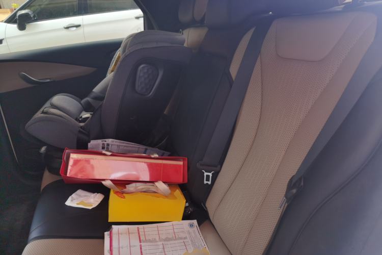 Used BYD Dolphin 2025 Intelligent Driving Version 410 km Fashion Edition Left Rear Seat