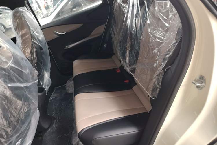 Used BYD Dolphin 2025 420km Free Edition Left Rear Seat