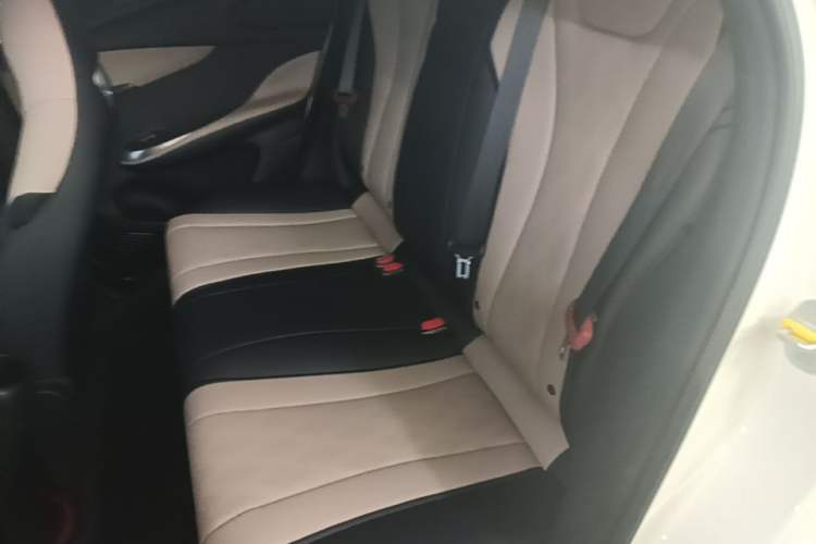 Used BYD Dolphin 2025 420km Free Edition Left Rear Seat