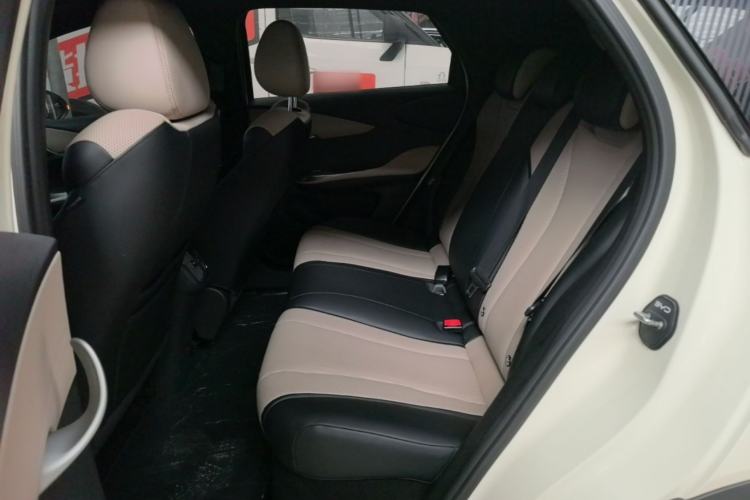 Used BYD Dolphin 2025 Smart Drive Version 420 km Freedom Edition Left Rear Seat