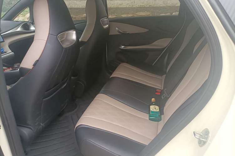 Used BYD Dolphin 2025 420km Free Edition Left Rear Seat