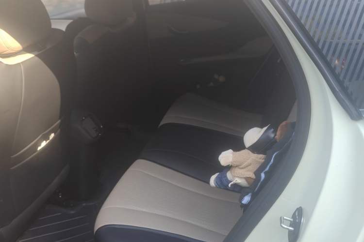 Used BYD Dolphin 2025 Smart Drive Version 420 km Freedom Edition Left Rear Seat