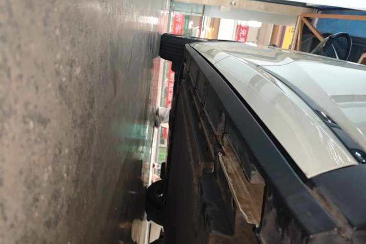 Used BYD Dolphin 2025 Intelligent Driving Version 410 km Fashion Edition Left Side Sill