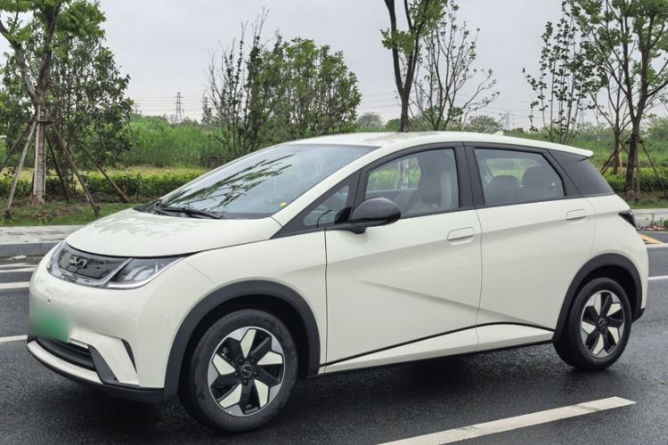 Used BYD Dolphin 2025 420km Free Edition Guazi used car, China used car export, Used car for sale, Used  cars, Cheapest cars for sale