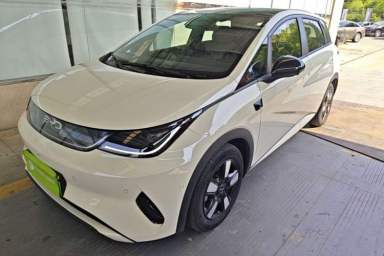 Used BYD Dolphin 2025 Intelligent Driving Version 410 km Fashion Edition