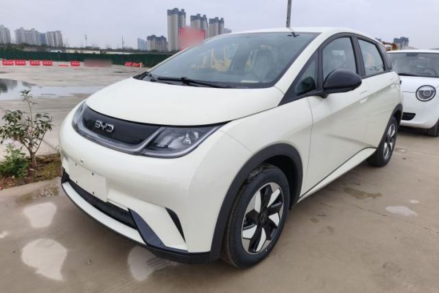 Used BYD Dolphin 2025 420km Free Edition