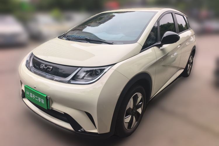 Used BYD Dolphin 2025 420km Free Edition Guazi used car, China used car export, Used car for sale, Used  cars, Cheapest cars for sale