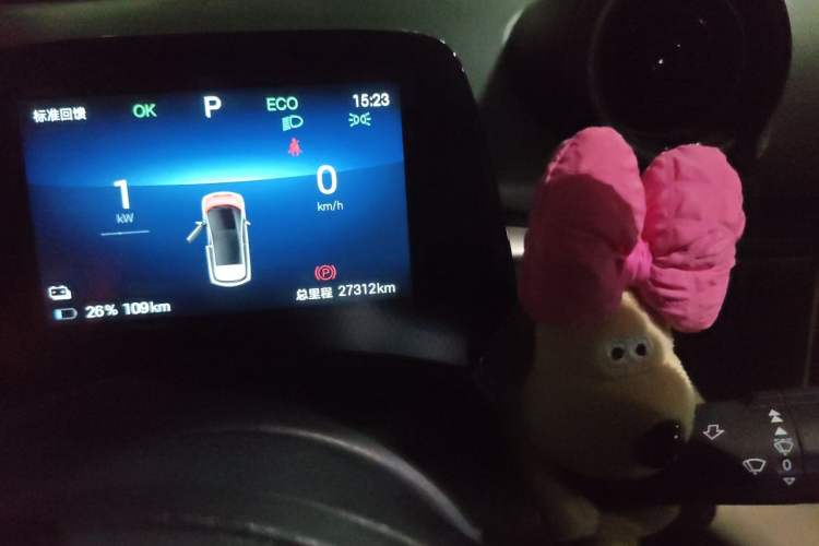 Used BYD Dolphin 2025 420km Fashion Edition Odometer Close Up