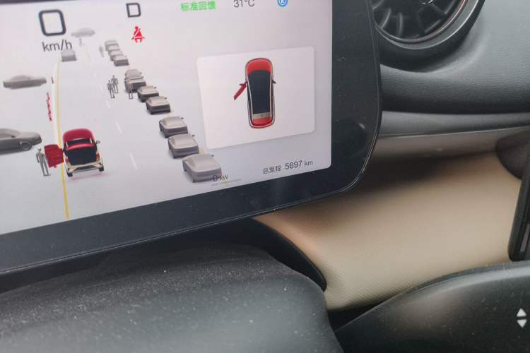 Used BYD Dolphin 2025 Smart Drive Version 420 km Freedom Edition Odometer Close Up