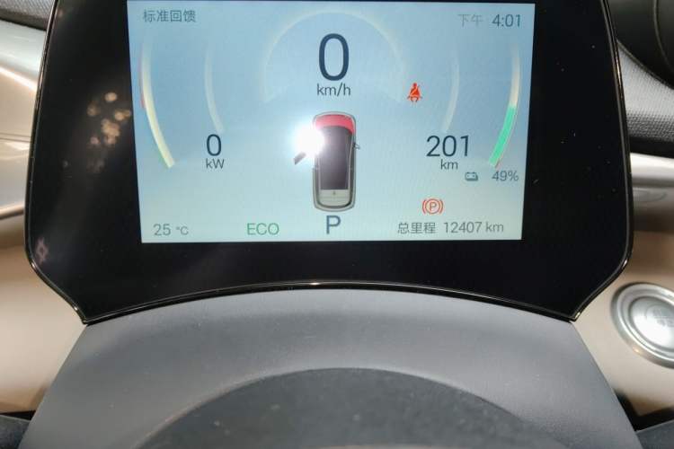Used BYD Dolphin 2025 420km Active Version Odometer Close Up