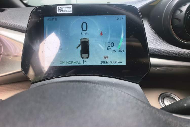 Used BYD Dolphin 2025 420km Free Edition Odometer Close Up