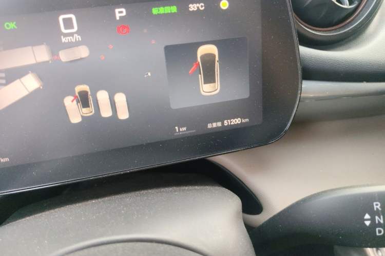 Used BYD Dolphin 2025 Smart Drive Version 420 km Freedom Edition Odometer Close Up