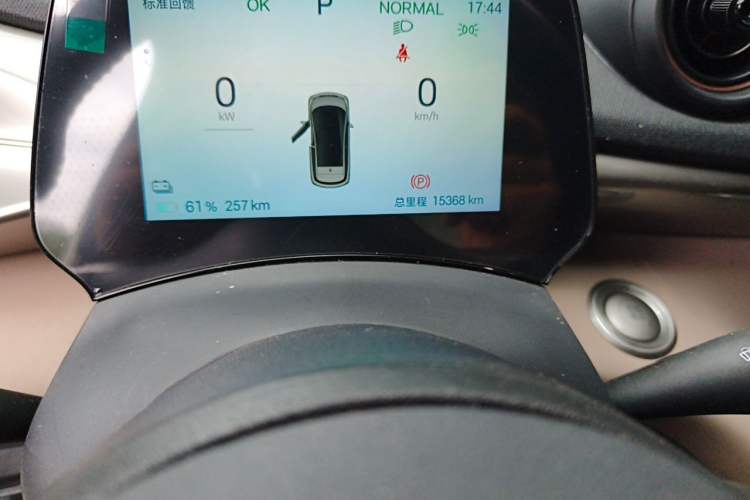 Used BYD Dolphin 2025 420km Free Edition Odometer Close Up