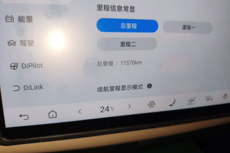 Used BYD Dolphin 2025 Intelligent Driving Version 520km Range Knight Edition Odometer Close Up