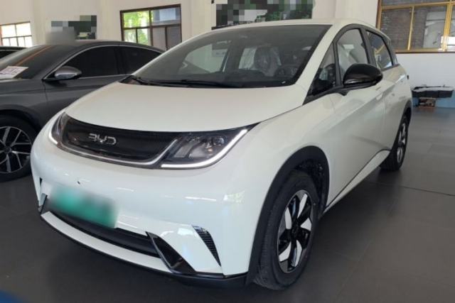 Used BYD Dolphin 2025 420km Free Edition