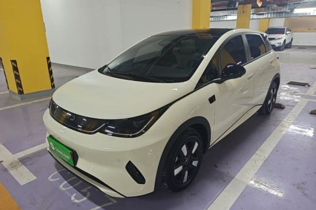 Used BYD Dolphin 2025 Intelligent Driving Version 410 km Fashion Edition