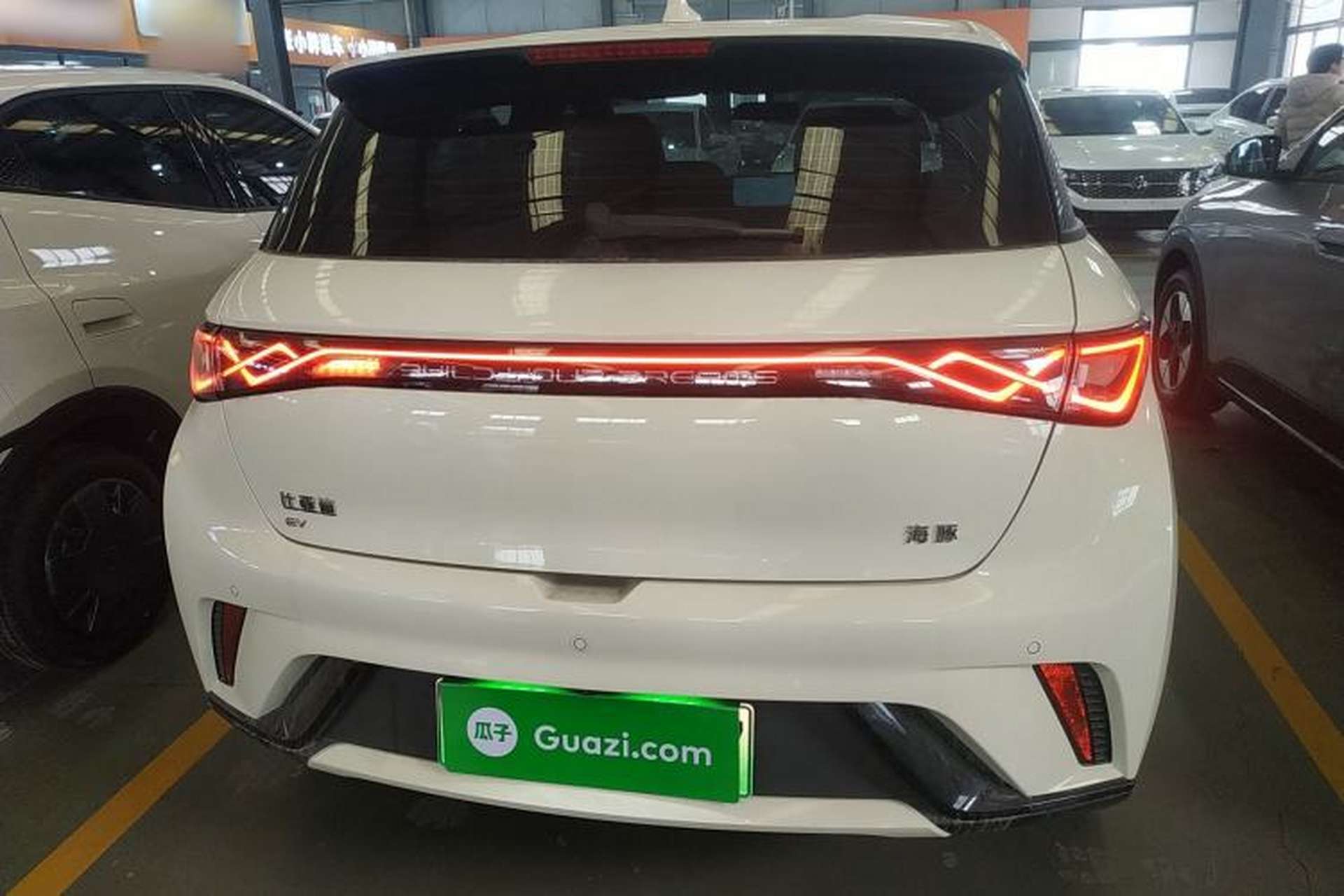 Used BYD Dolphin 2025 420km Free Edition Rear