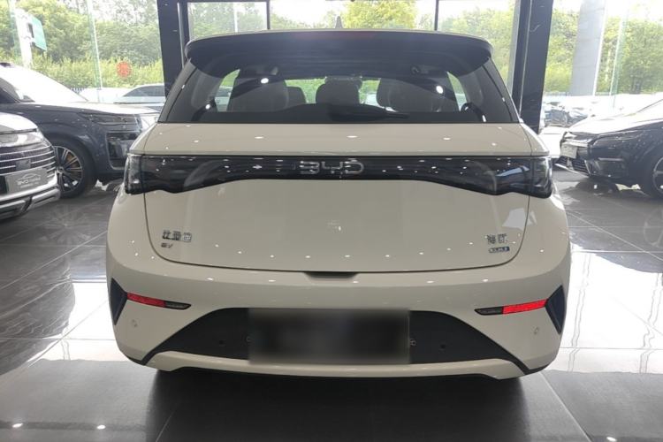 Used BYD Dolphin 2025 Intelligent Driving Version 410 km Fashion Edition Rear