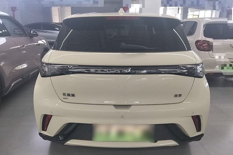 Used BYD Dolphin 2025 Smart Drive Version 420 km Freedom Edition Rear