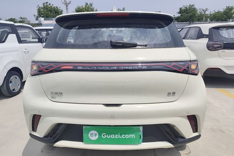 Used BYD Dolphin 2025 420km Free Edition Rear