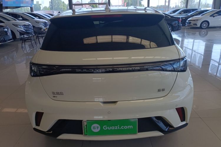 Used BYD Dolphin 2025 420km Active Version Rear