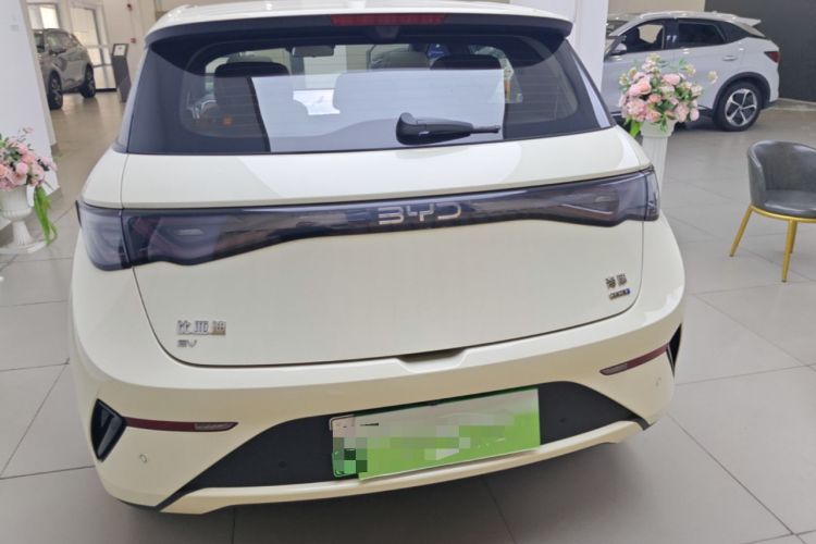 Used BYD Dolphin 2025 Intelligent Driving Version 410 km Fashion Edition Rear
