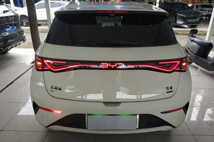 Used BYD Dolphin 2025 Smart Drive Version 420 km Freedom Edition Rear