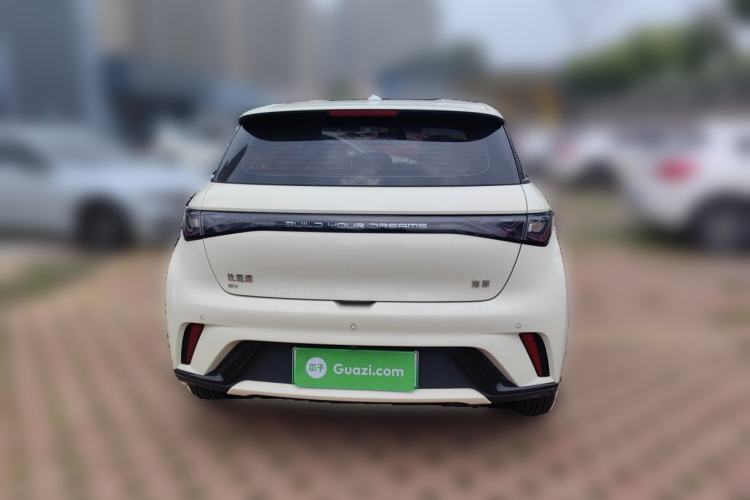 Used BYD Dolphin 2025 420km Active Version Rear