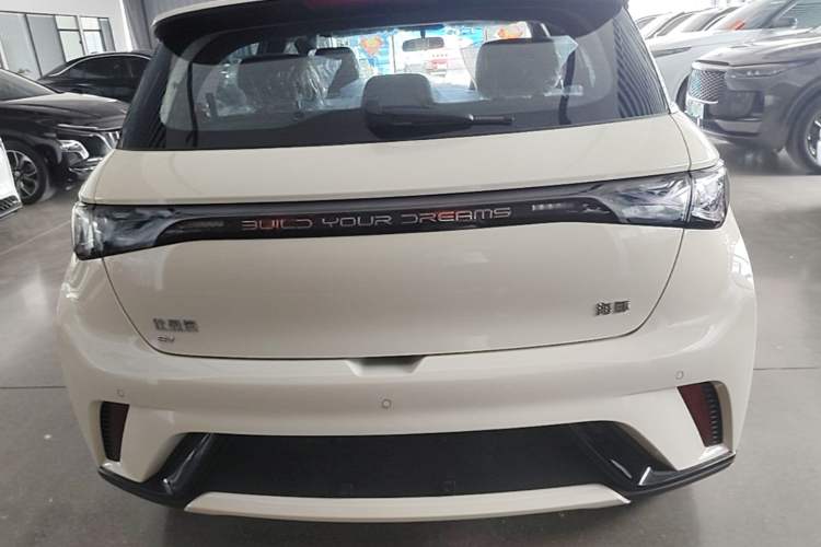 Used BYD Dolphin 2025 420km Free Edition Rear