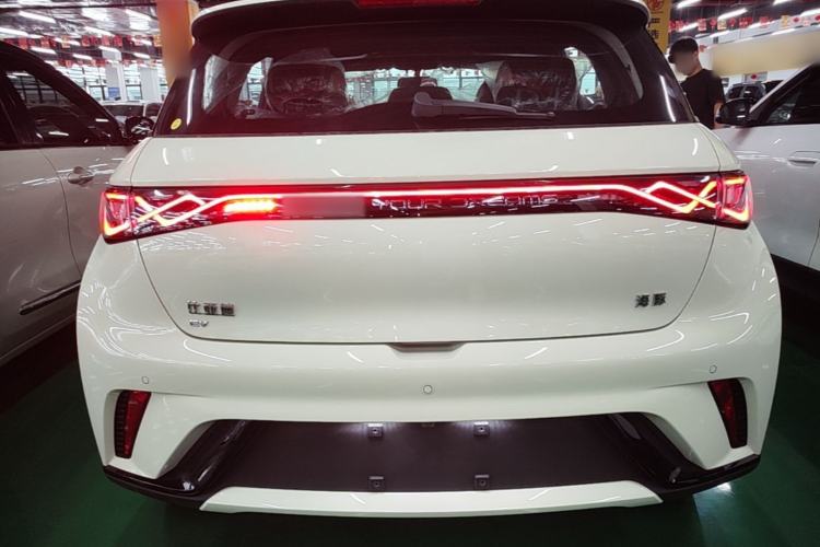 Used BYD Dolphin 2025 420km Free Edition Rear