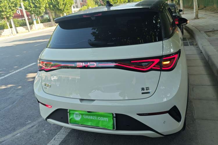 Used BYD Dolphin 2025 Smart Drive Version 420 km Freedom Edition Rear
