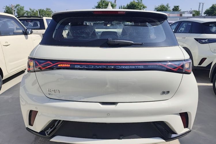 Used BYD Dolphin 2025 420km Free Edition Rear