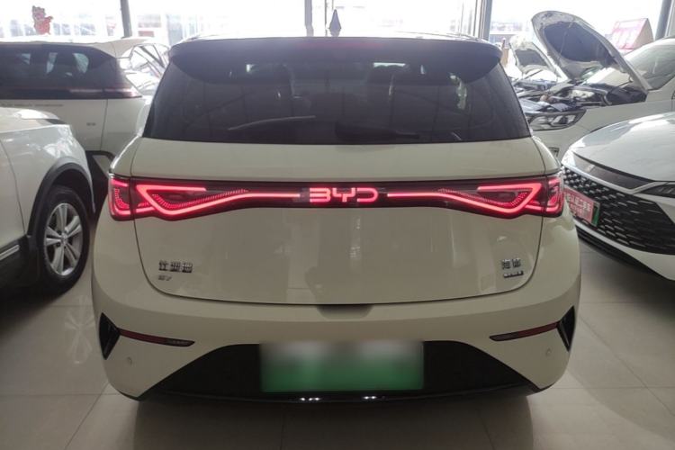 Used BYD Dolphin 2025 Smart Drive Version 420 km Freedom Edition Rear