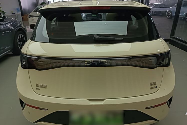 Used BYD Dolphin 2025 Intelligent Driving Version 410 km Fashion Edition Rear