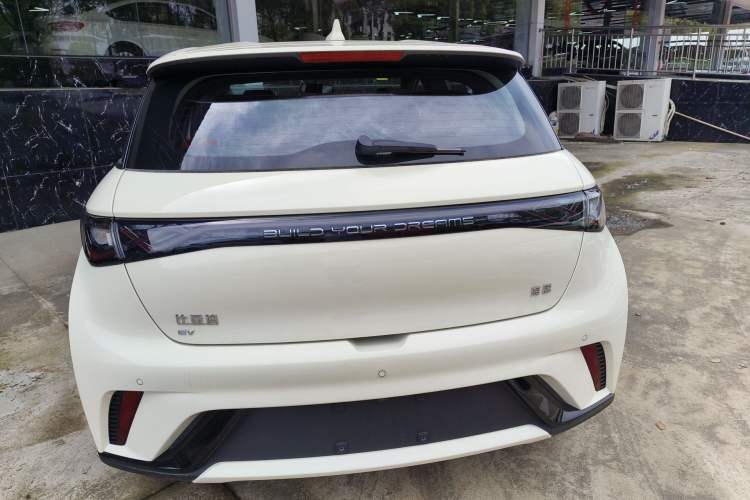 Used BYD Dolphin 2025 420km Free Edition Rear