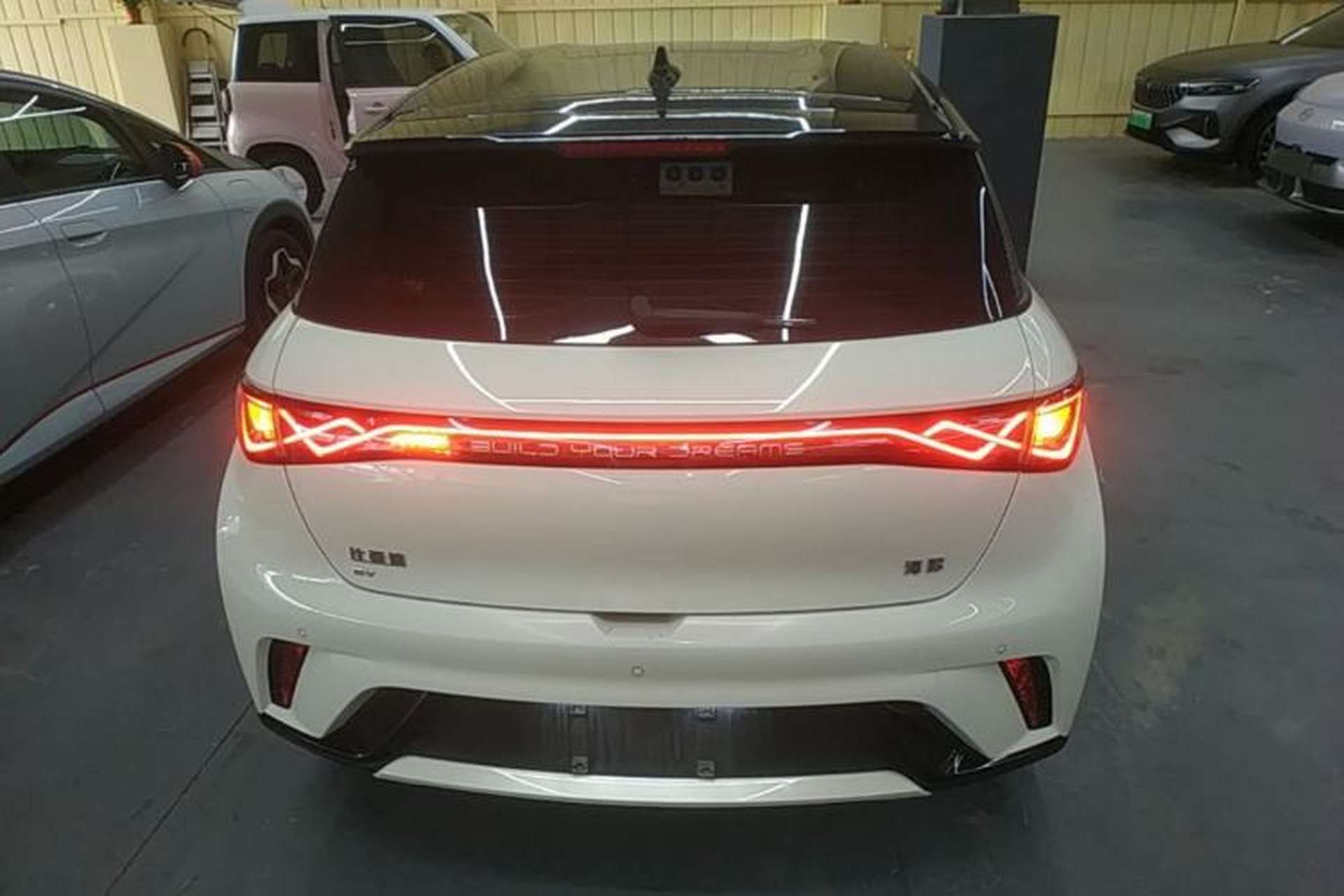 Used BYD Dolphin 2025 420km Free Edition Rear