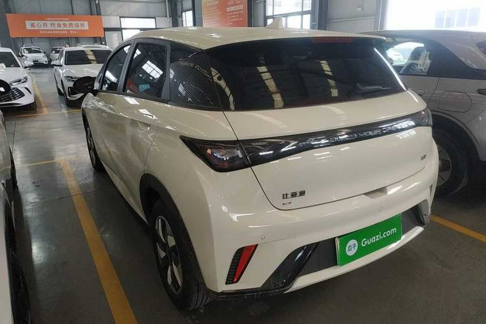 Used BYD Dolphin 2025 420km Free Edition Rear Left 45 Deg