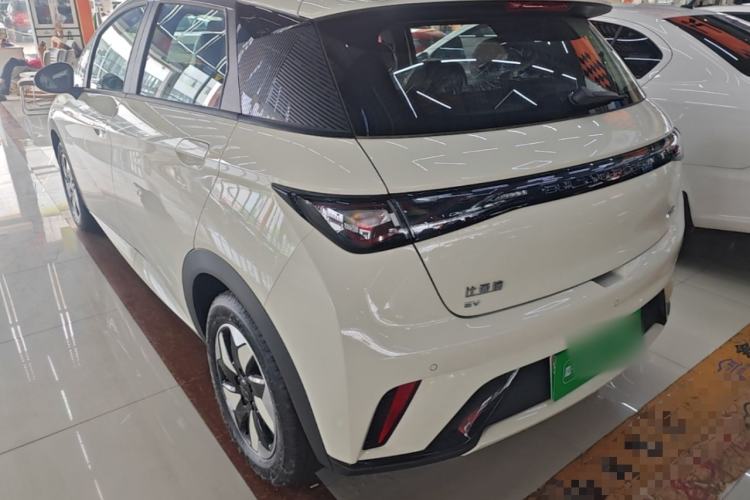 Used BYD Dolphin 2025 420km Free Edition Rear Left 45 Deg