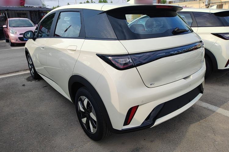 Used BYD Dolphin 2025 420km Free Edition Rear Left 45 Deg