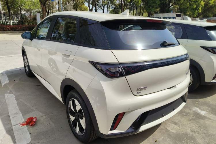 Used BYD Dolphin 2025 420km Free Edition Rear Left 45 Deg