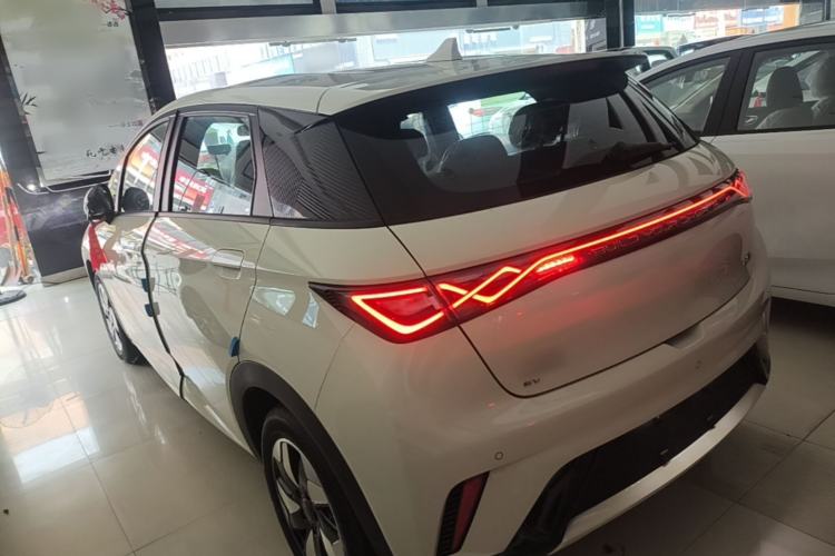 Used BYD Dolphin 2025 420km Free Edition Rear Left 45 Deg