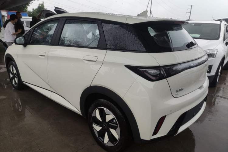 Used BYD Dolphin 2025 420km Free Edition Rear Left 45 Deg