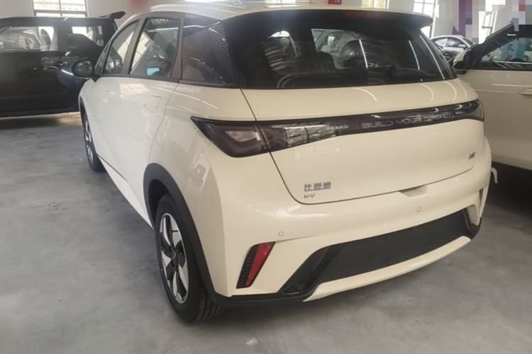 Used BYD Dolphin 2025 420km Free Edition Rear Left 45 Deg