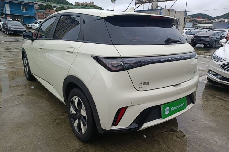 Used BYD Dolphin 2025 520km Range Knight Edition Rear Left 45 Deg