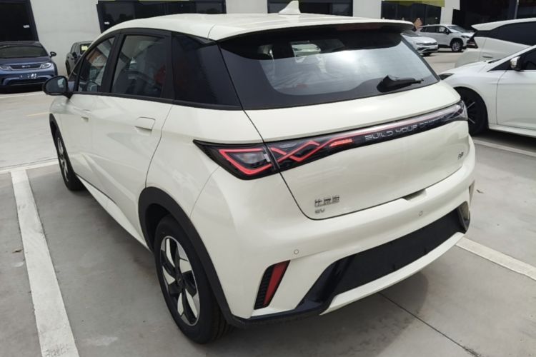 Used BYD Dolphin 2025 420km Free Edition Rear Left 45 Deg